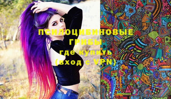 твердый Богданович