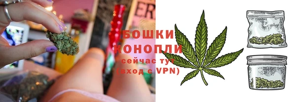 твердый Богданович