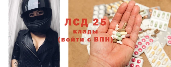 твердый Богданович