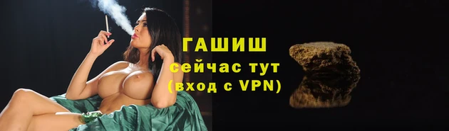 твердый Богданович