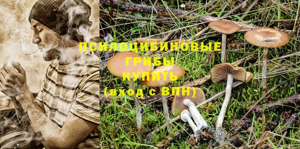 мяу мяу кристалл Богородск