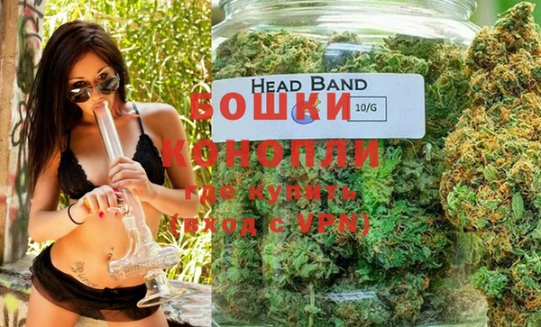 твердый Богданович