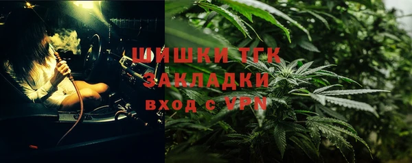 твердый Богданович